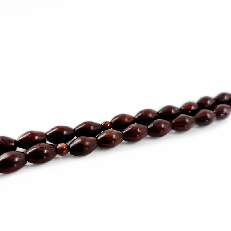 مسباح ثمرة الكوك - Image 3